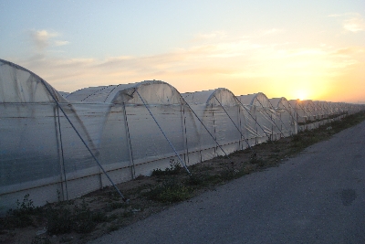 tunel ligero rufepa fresas