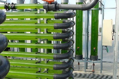 Algae greenhouse Rufepa 5